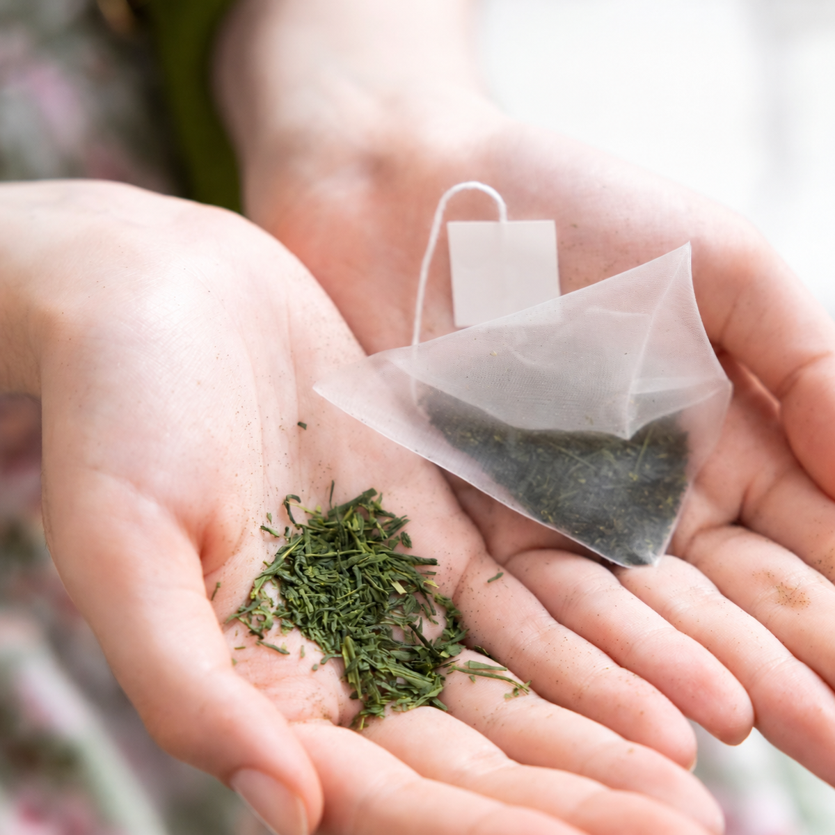 AICHA Premium Sencha Tea Bags