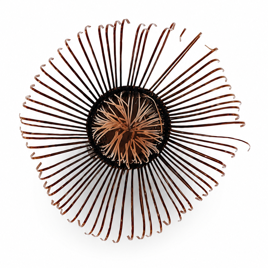 Chasen No. 105 · Red-Toned Dark, 56 Tines · Usucha