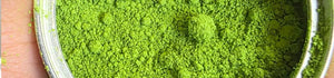 Ceremonial vs Culinary Matcha: Difference Explained