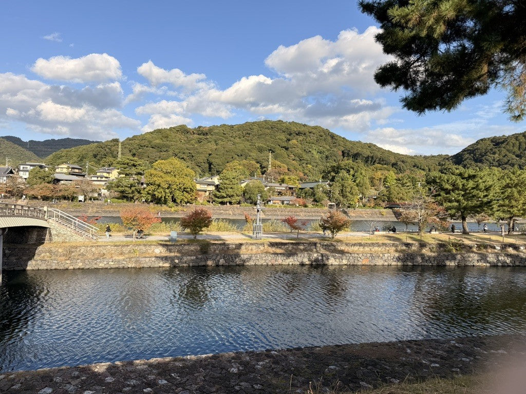 Why AICHA Sources Its Tea from Uji, Japan