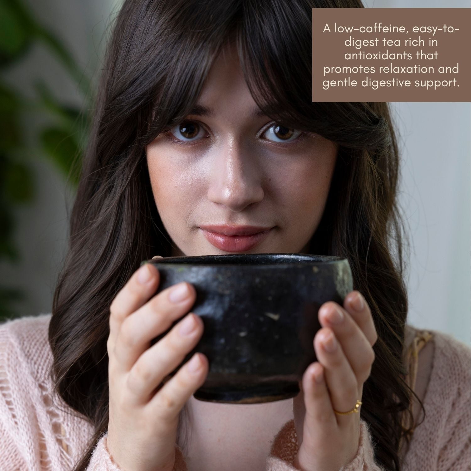 Hōjicha Powder – Roasted Japanese Green Tea