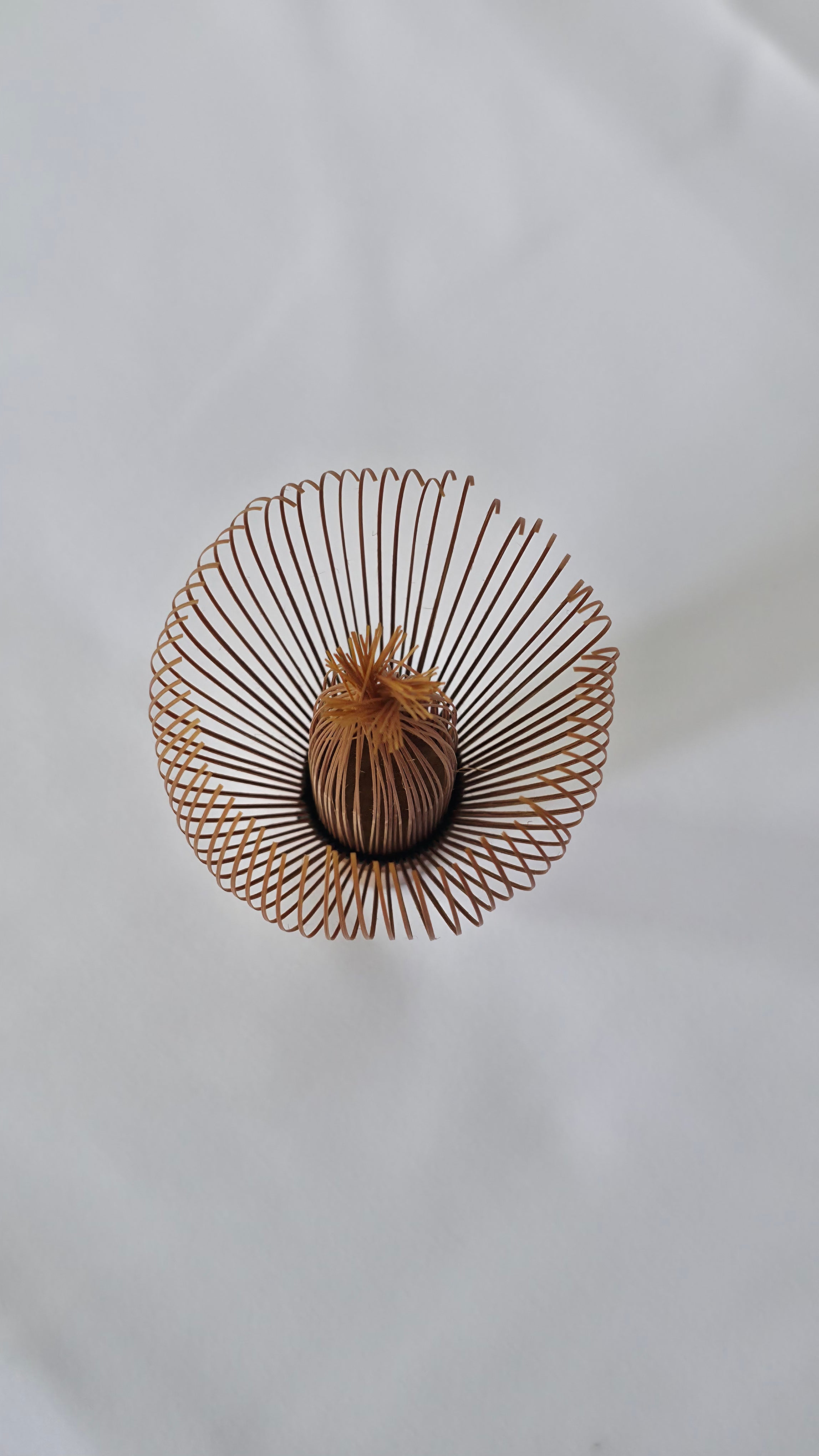 Three-quarter overhead view of Chasen No. 119 bamboo matcha whisk