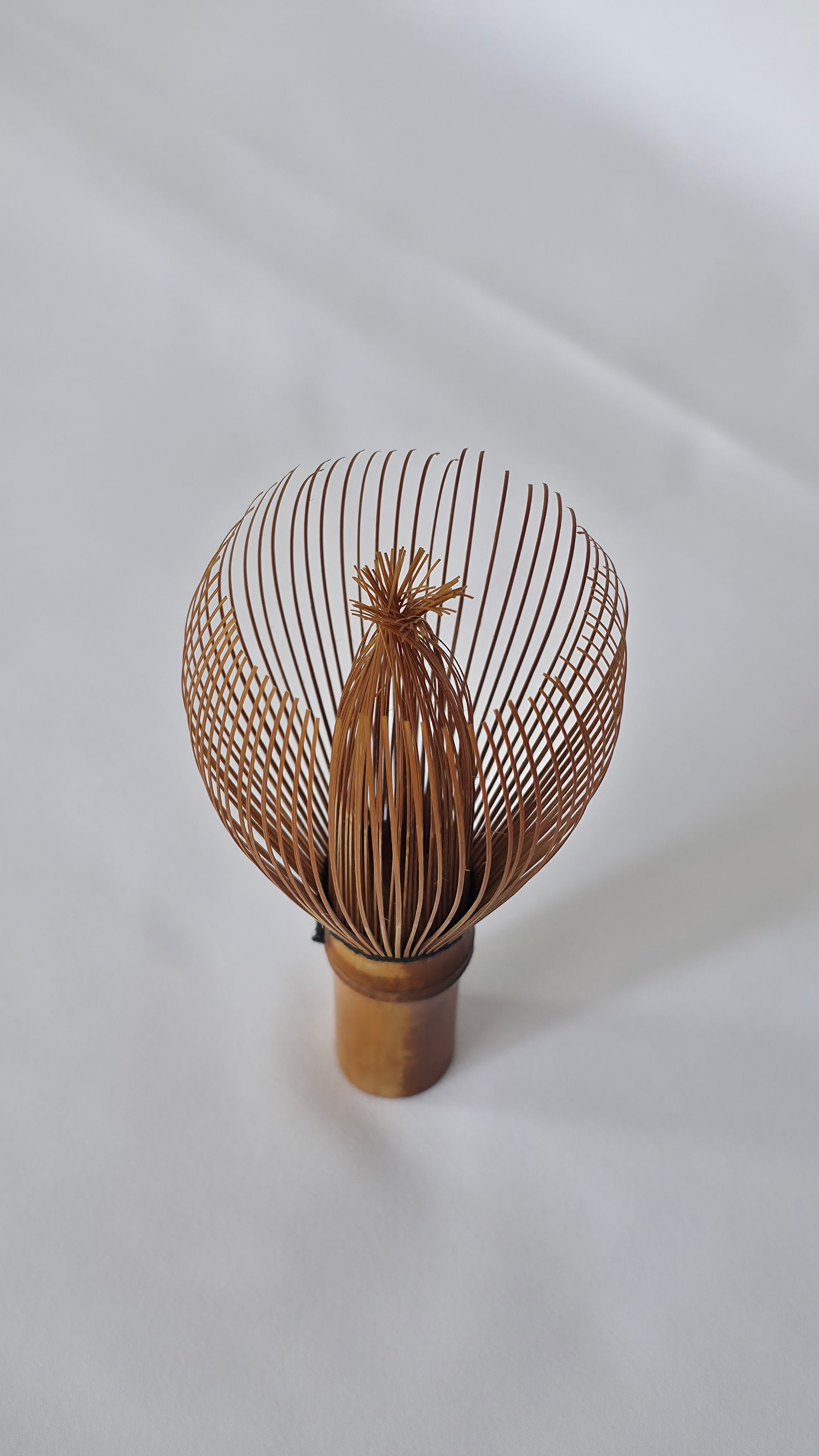 Chasen No. 119 tilted to show the curled inner core of the whisk head