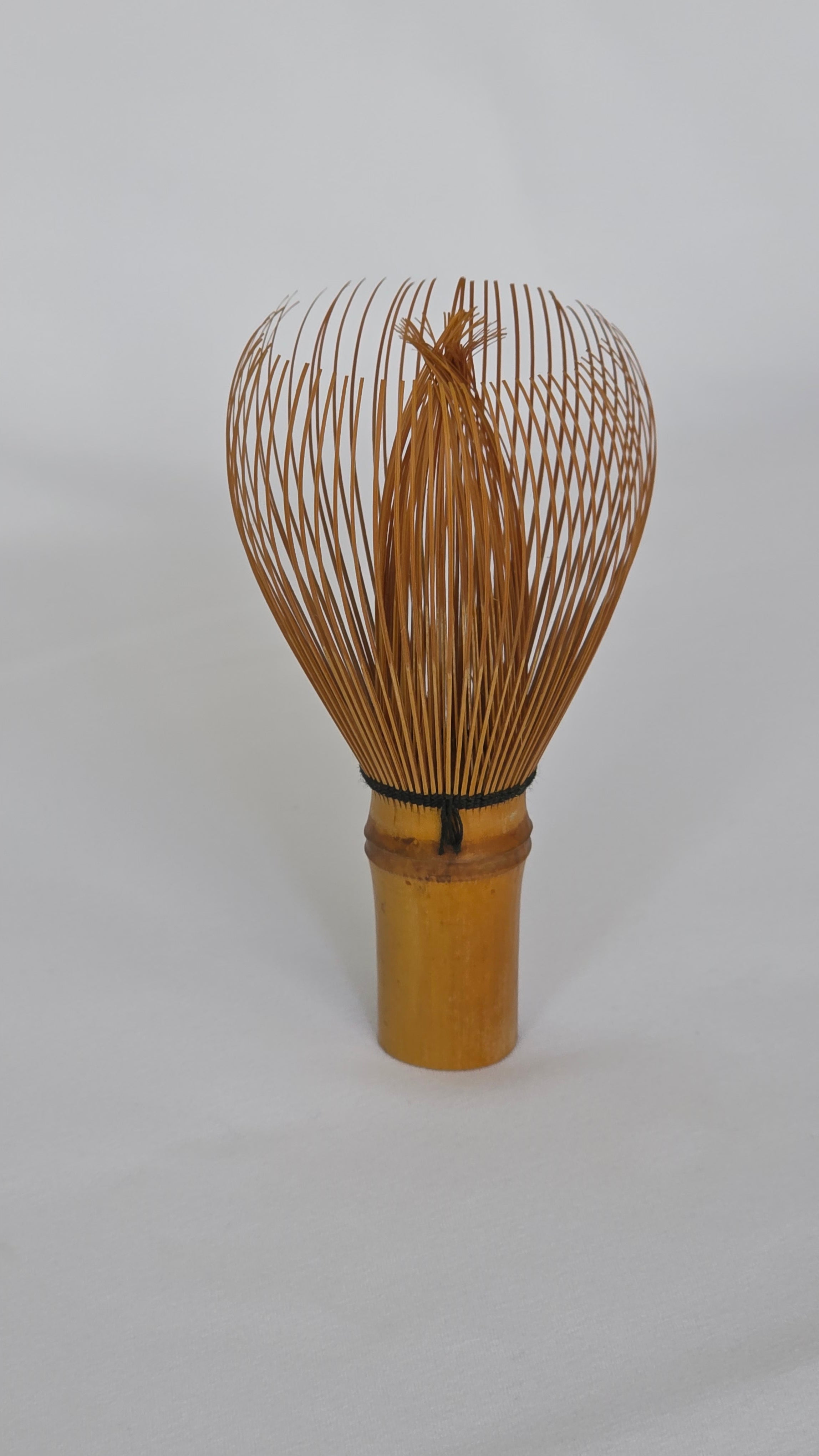 Chasen No. 119 Takayama bamboo tea whisk, side profile