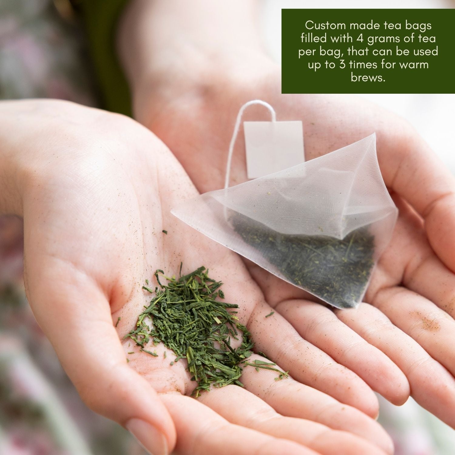 Aicha Premium Sencha Tea Bags
