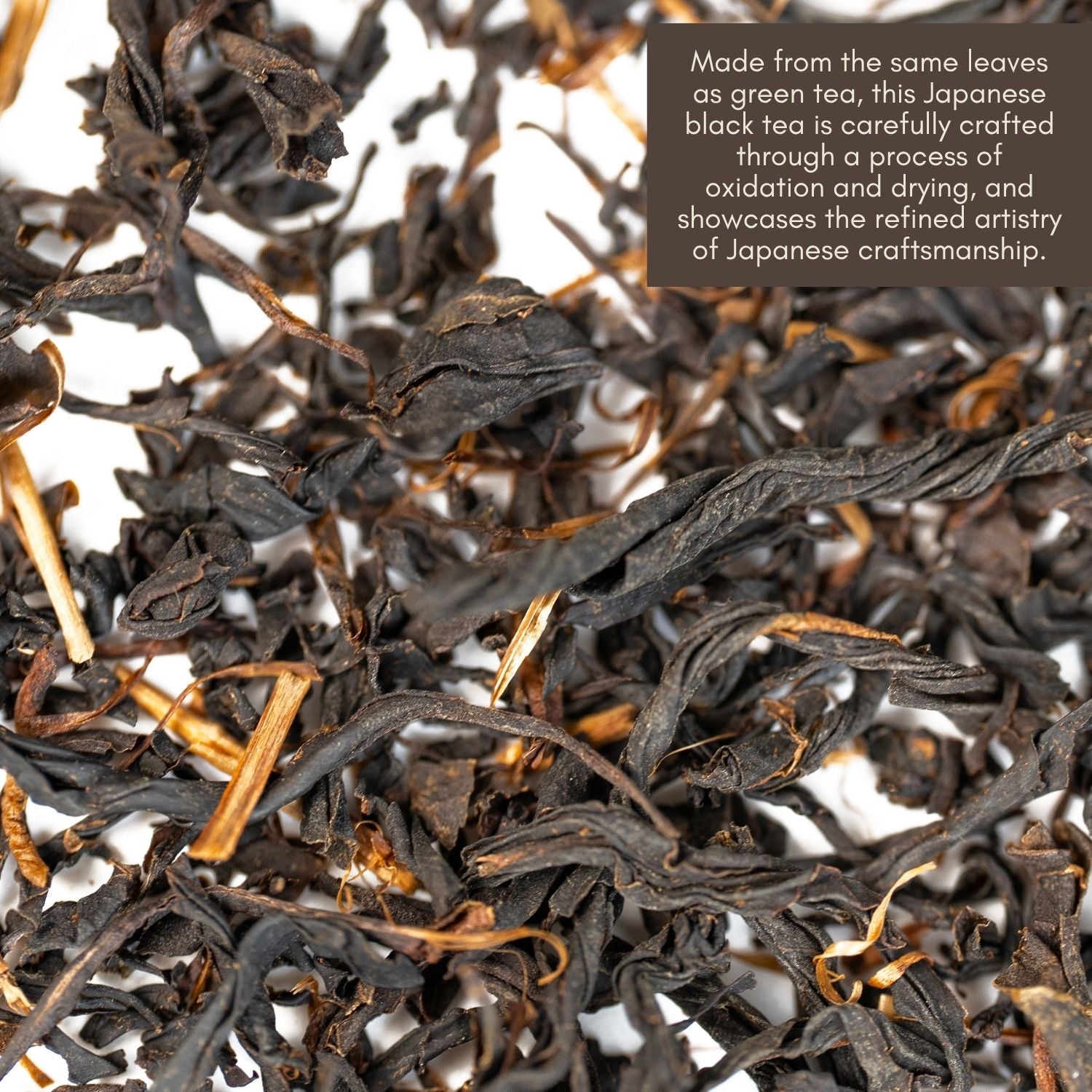 Aicha 100 years old Wakōcha (Japanese Black Tea)