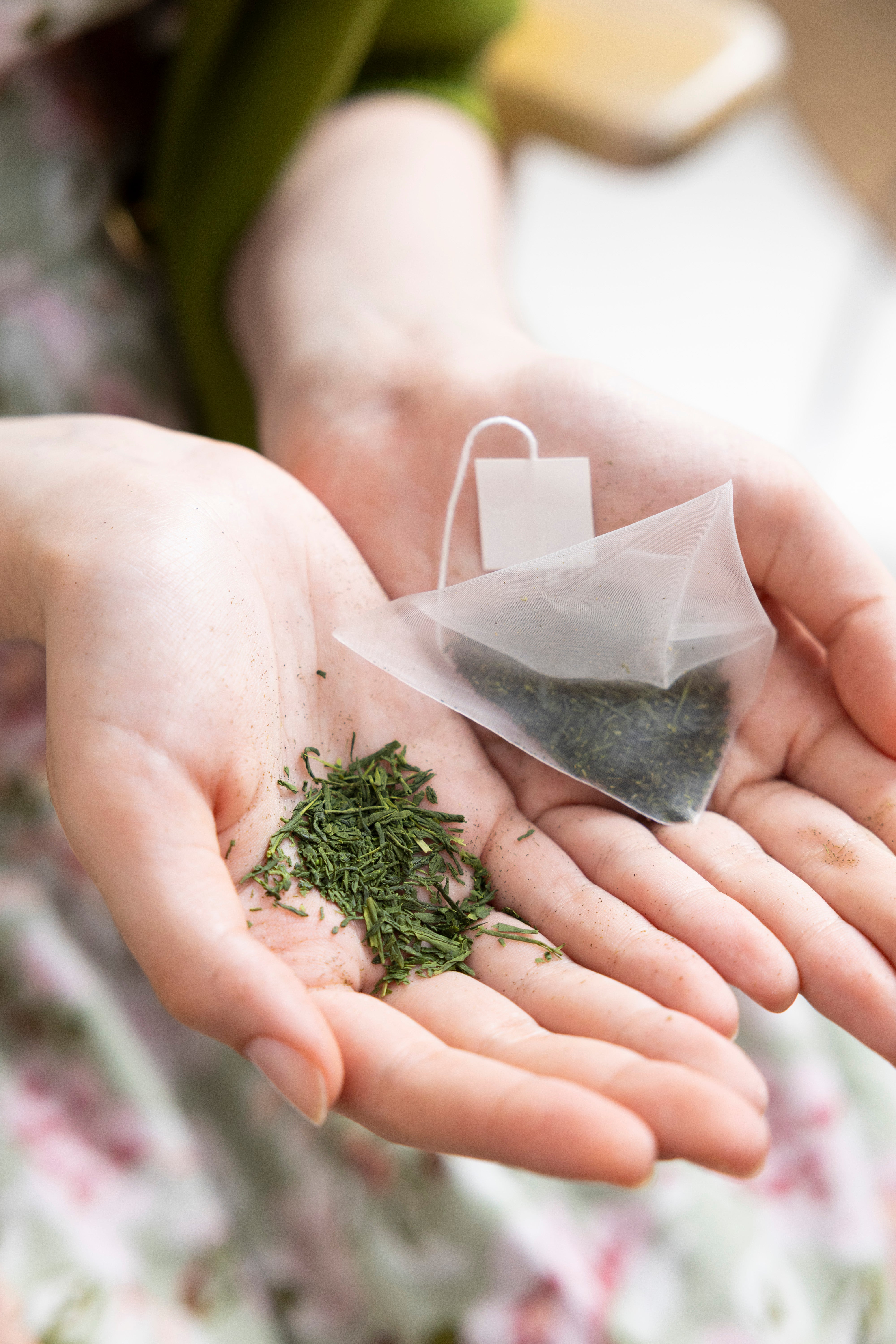 Premium Sencha Tea Bags
