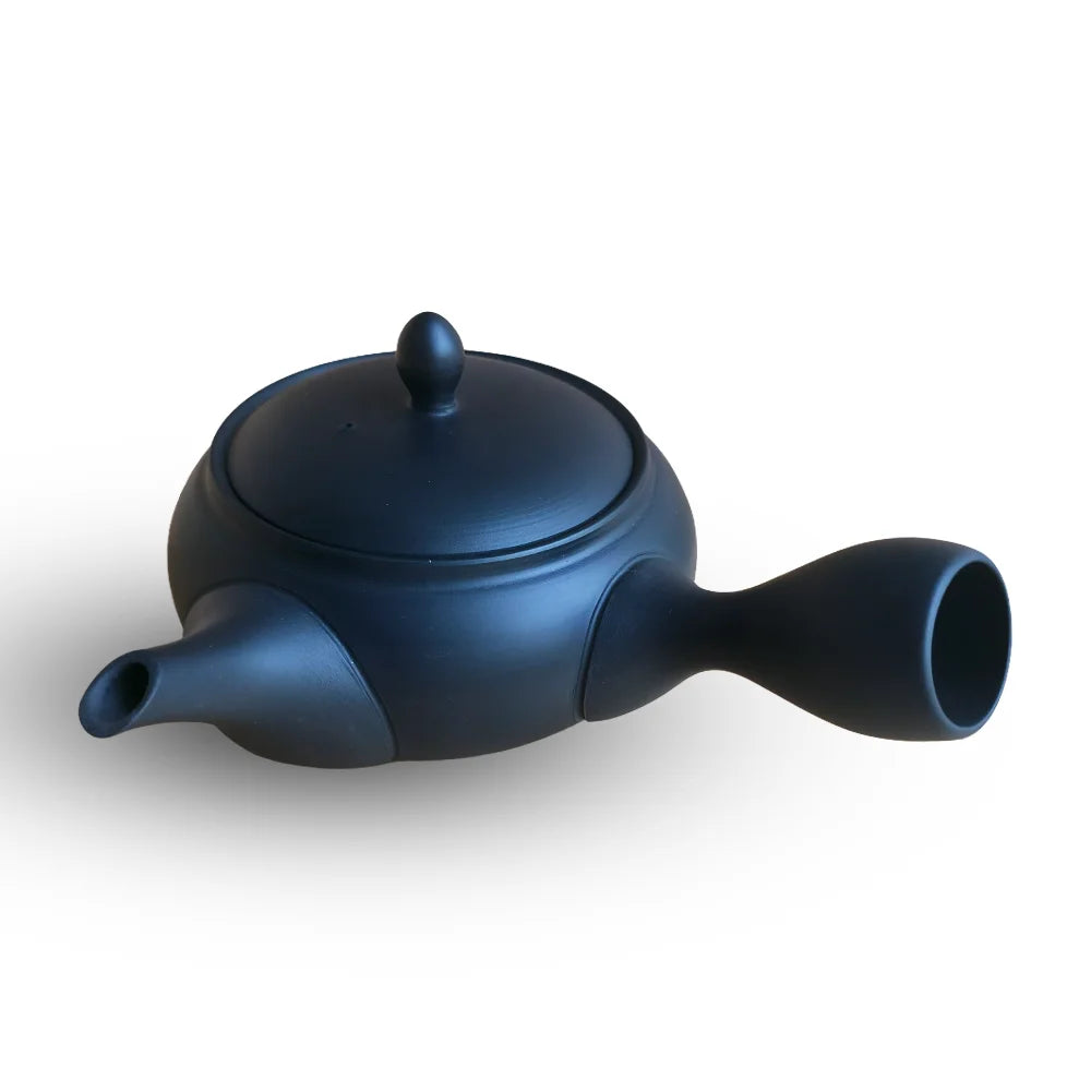 Ceramesh Kyusu Horyu Black Cut-Shu