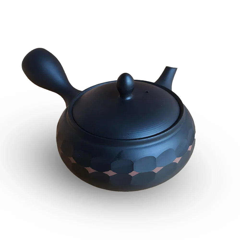Ceramesh Kyusu Horyu Black Cut-Shu