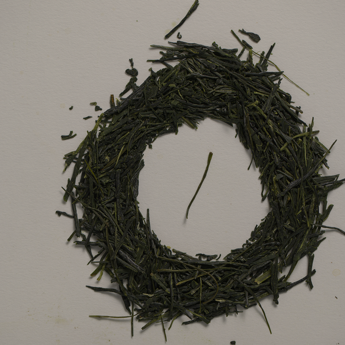 Premium Sencha Tea Bags