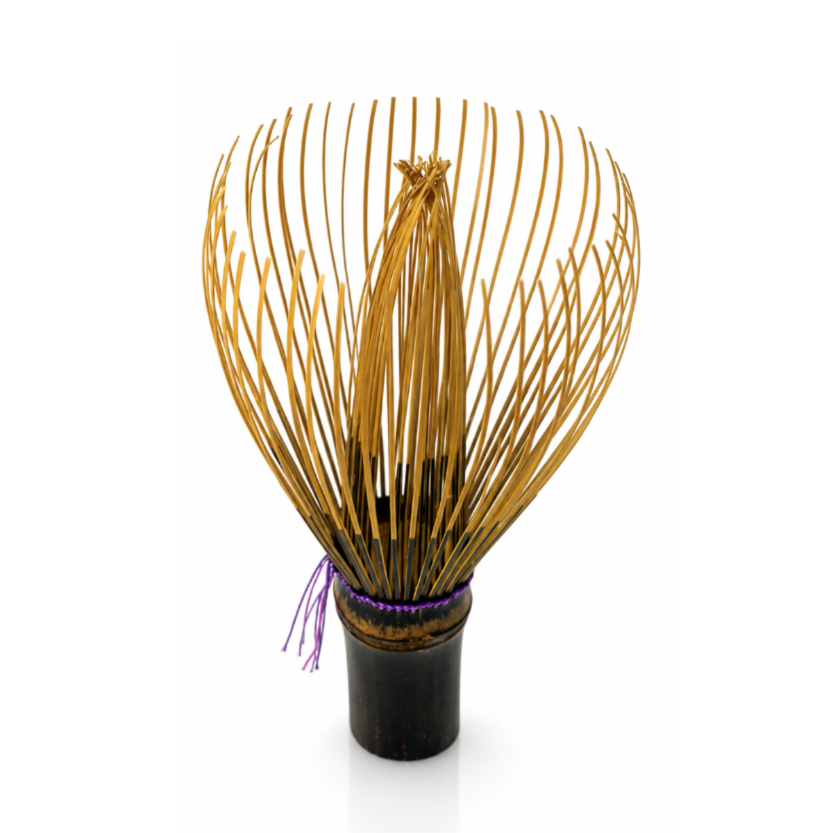 Chasen Red No. 11 · Purple Thread, 55 Tines · Both