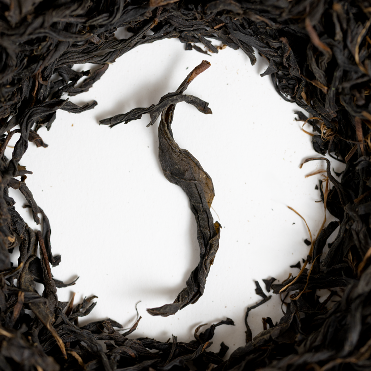 100 years old Wakōcha (Japanese Black Tea)