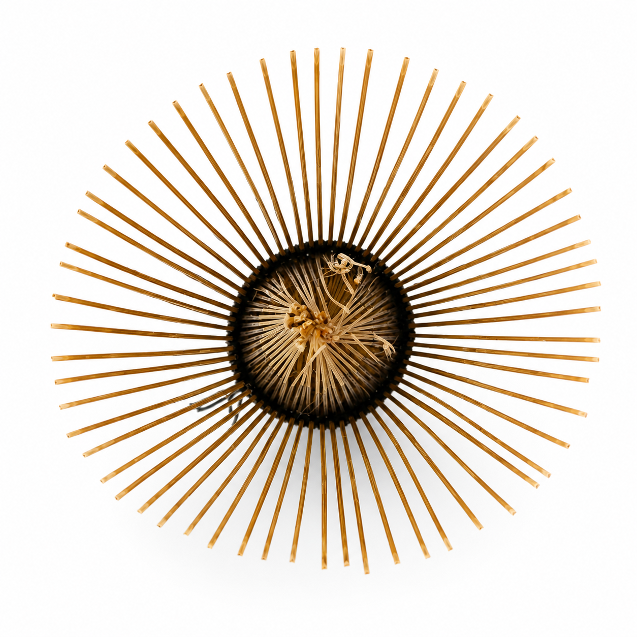Chasen No. 103 · Dark Bamboo, 60 Tines · Usucha