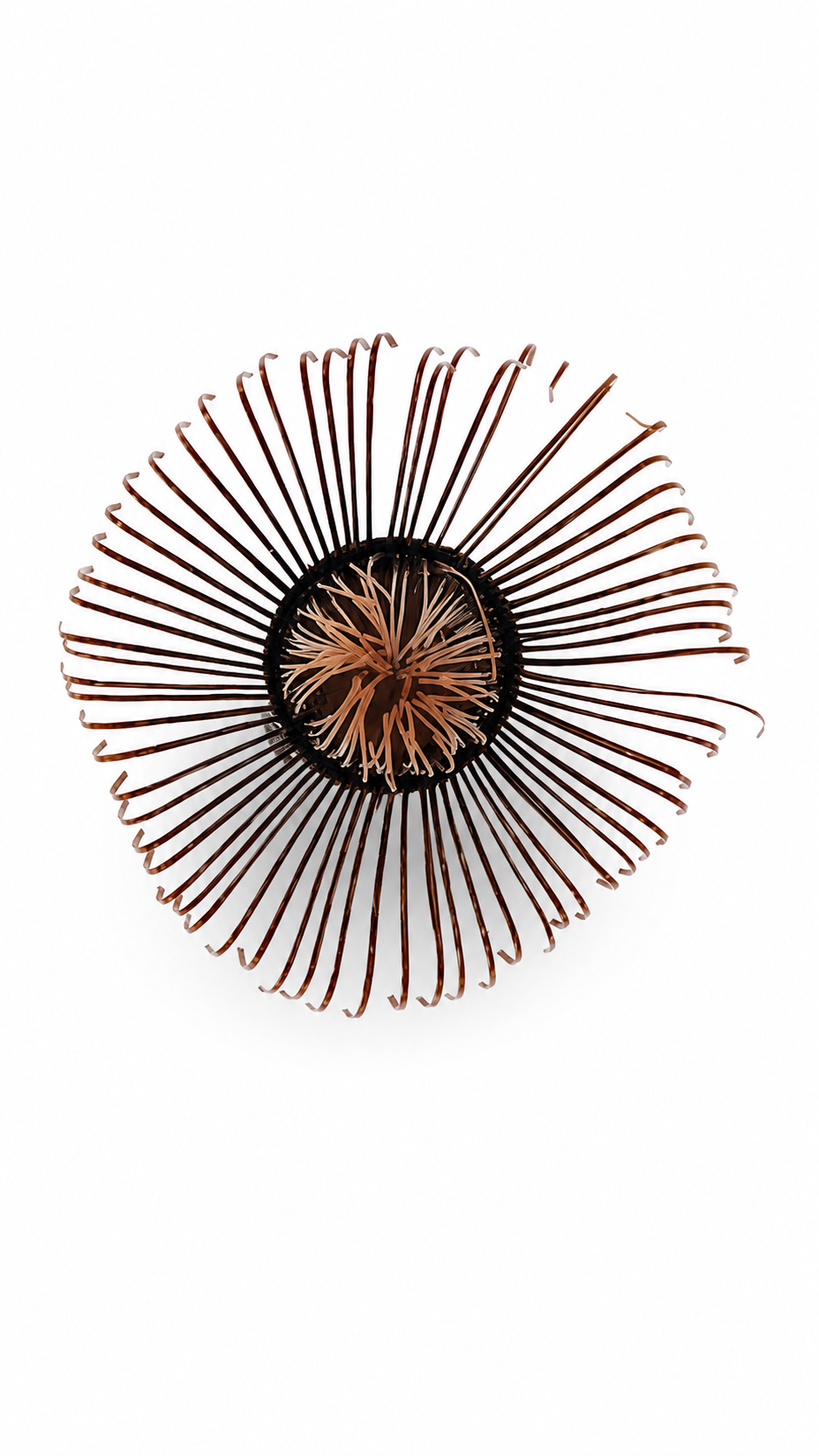 Chasen No. 105 · Red-Toned Dark, 56 Tines · Usucha