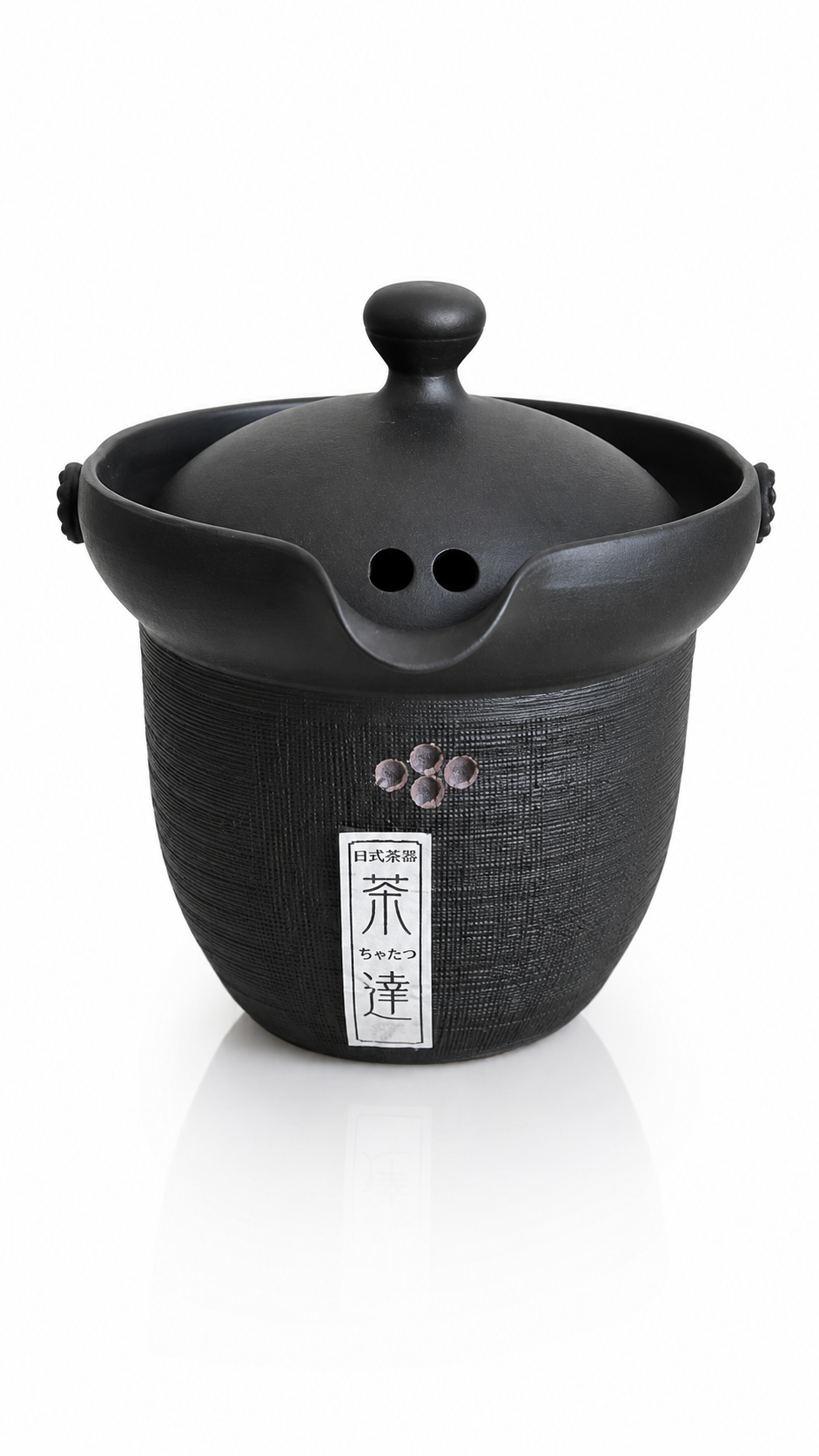 Tenro Black Teapot with Built-in Mesh Filter Lid — Tokoname Kyusu